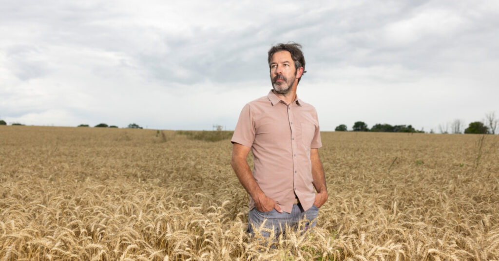 Meet the A.I. Prospectors Tapping a Billion-Dollar Gusher