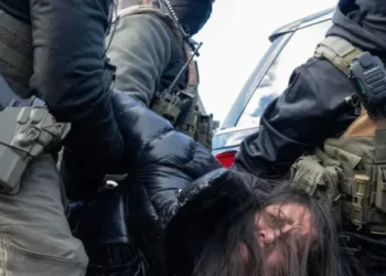 ‘Huge’: Trump’s own appointee finds ICE likely ran unlawful racial profiling operation