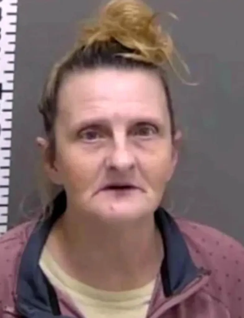 Mugshot of Angela Lipps.