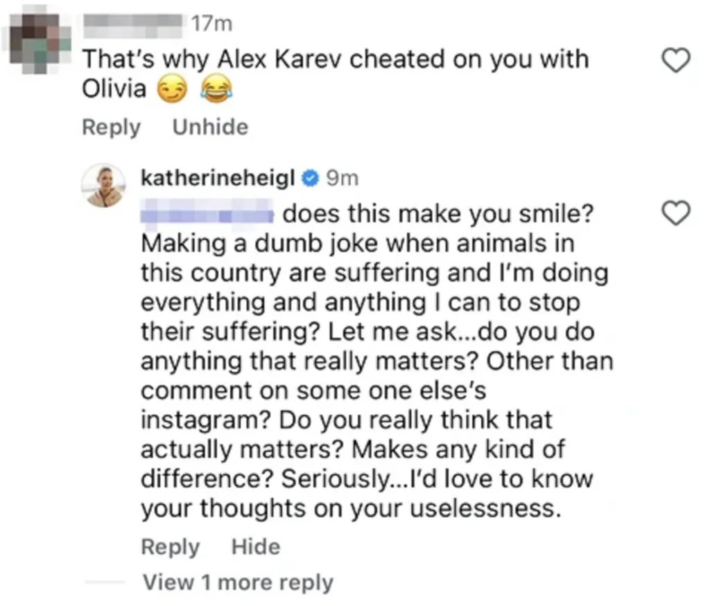 A social media post with a comment from a user and a response from Katherine Heigl, both criticizing each other for their actions and comments.