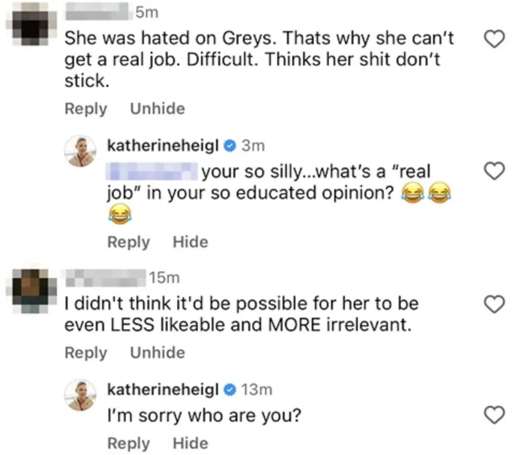 Screenshots of Instagram comments showing Katherine Heigl responding to negative comments about her career.