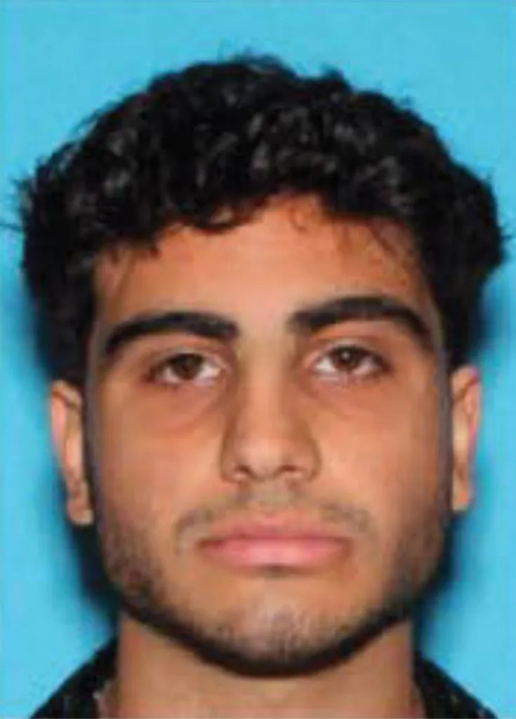 Mugshot of Roma Akoyans, one of the three individuals arrested for an anti-Semitic attack.