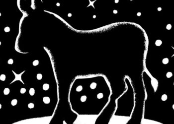 Will a Peacock Like Gavin Newsom Fly?