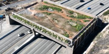 California’s unfinished wildlife ‘bridge to nowhere’ tops $100M