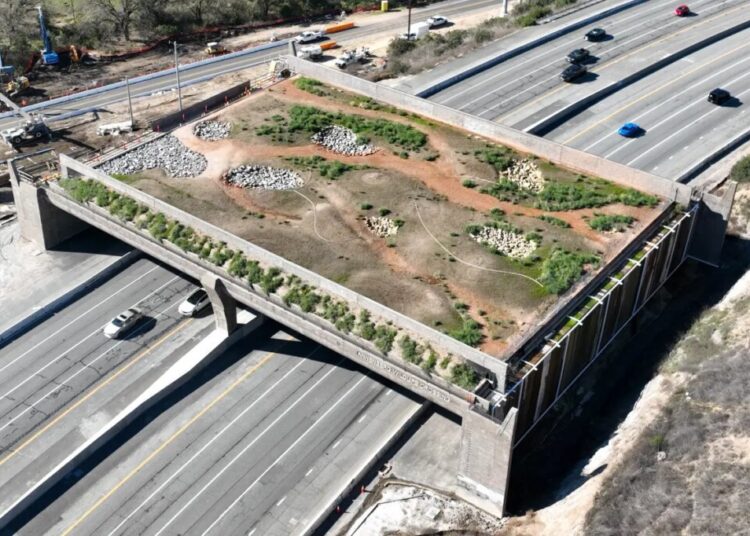 California’s unfinished wildlife ‘bridge to nowhere’ tops $100M