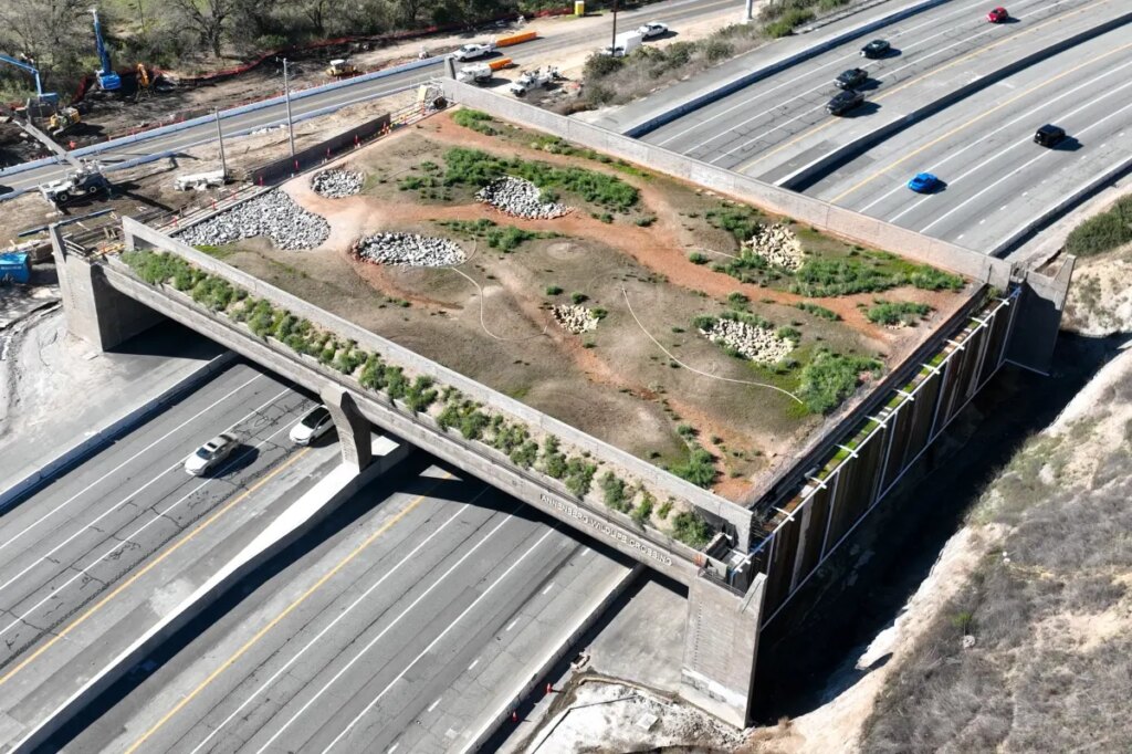 California’s unfinished wildlife ‘bridge to nowhere’ tops $100M