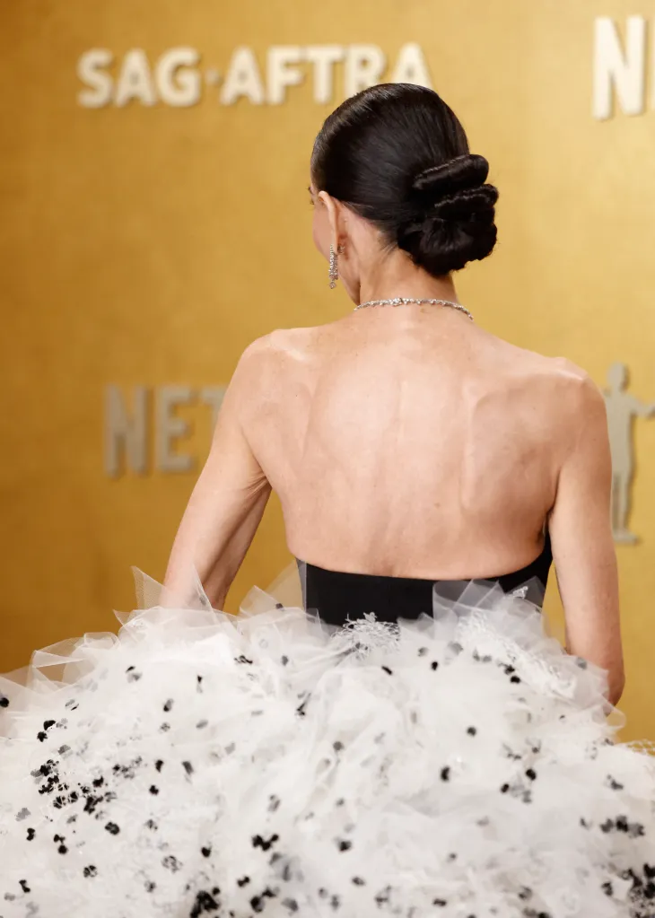 Demi Moore poses on the red carpet during the Actor Awards, in Los Angeles, California.