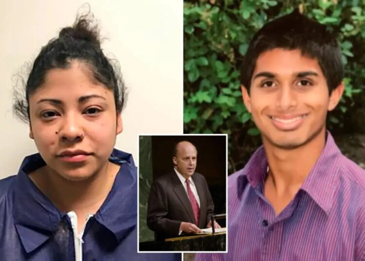 Ex-US diplomat John Negroponte’s daughter sentenced in friend’s drunken murder