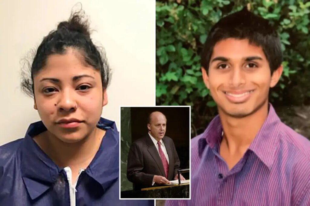 Ex-US diplomat John Negroponte’s daughter sentenced in friend’s drunken murder