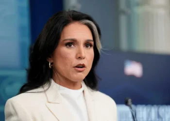 Tulsi Gabbard accused of planting a mole for ‘sinister’ Trump protection scheme: analyst