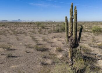 Arizona community hits hottest-ever March temp in the US as unrelenting heat wave scorches West Coast