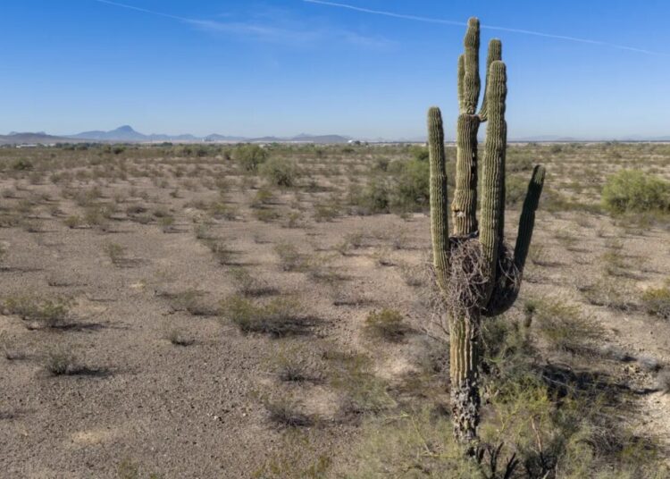 Arizona community hits hottest-ever March temp in the US as unrelenting heat wave scorches West Coast