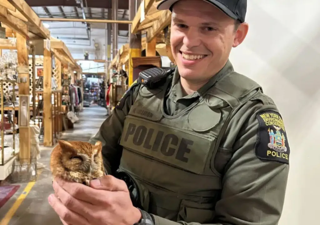 ECO Milliron holding a sleepy owl found in an antique shop.