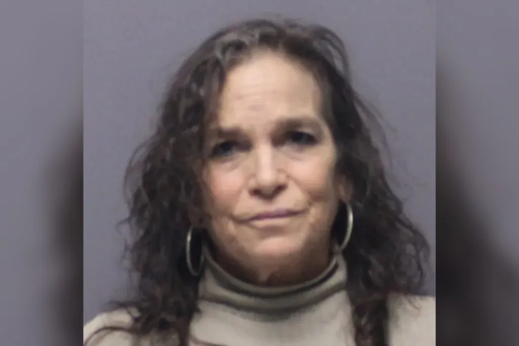 Mugshot of a woman with long, curly brown hair and hoop earrings.
