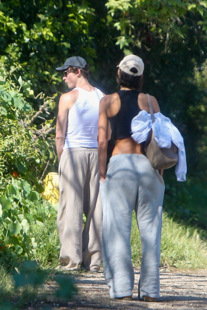 Shawn Mendes publicly urinating while Bruna Marquezine walks ahead.
