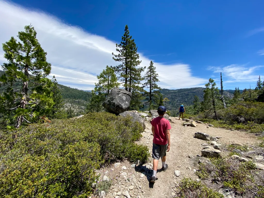 A boy and a man hiking in the California wilderness with pine trees and mountains.