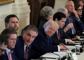 Hedge funder makes ‘ludicrous 2028 forecast’ after White House insiders flag major shakeup