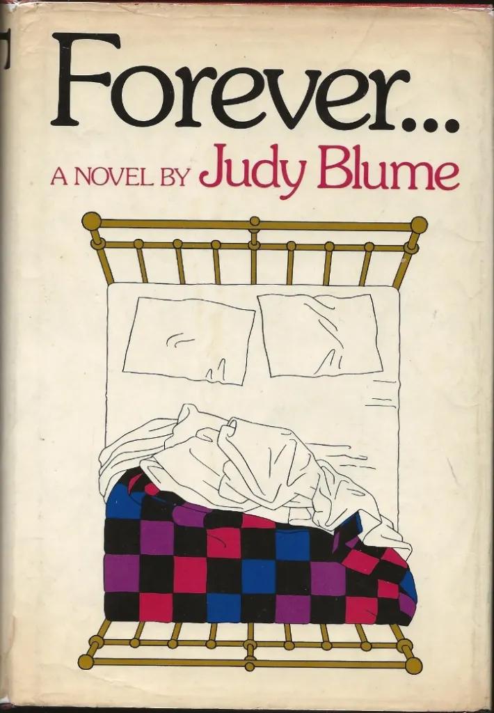 Illustration of a bed with white sheets and a checkered blanket, from the cover of the book 