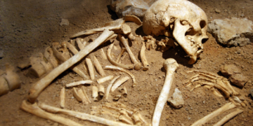 Rigid Gender Roles Are a Lie. Just Ask These 7,000-Year-Old Skeletons.