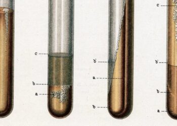 The world’s deadliest infectious disease is on the rise in the US