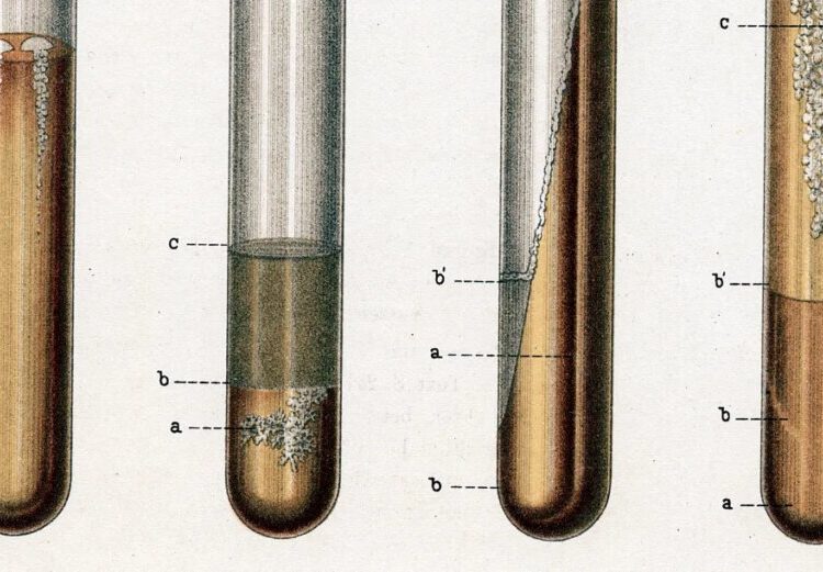 The world’s deadliest infectious disease is on the rise in the US
