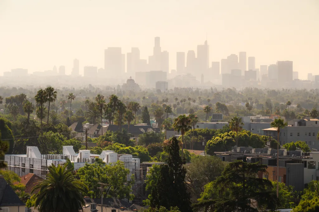 Golden sunrise light casts over the hazy Los Angeles downtown skyline with palm trees and buildings in the foreground.