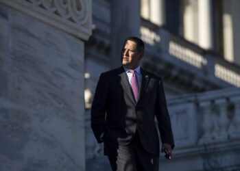 Rep. Gonzales, Facing Harassment Allegations, Heads to Primary Runoff With Gun Rights YouTuber Herrera