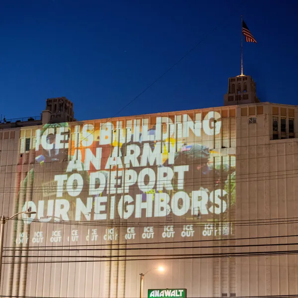 Spike in abandoned pets overwhelms shelters as Trump’s deportation machine rolls on