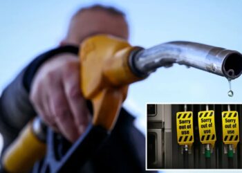 IEA to recommend release of record 400M oil barrels to curb soaring prices due to Iran war: report