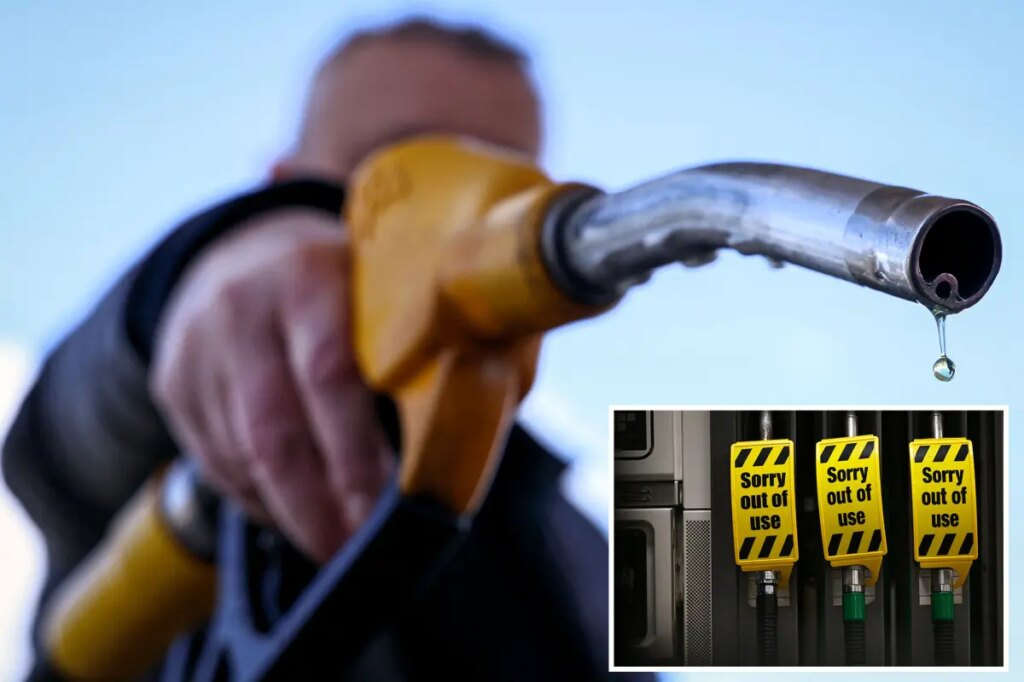 IEA to recommend release of record 400M oil barrels to curb soaring prices due to Iran war: report