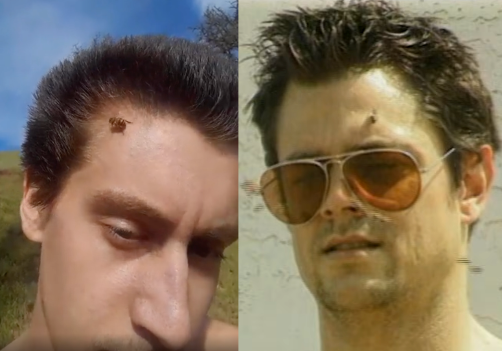 Is Looksmaxxing Just ‘Jackass’ for the Algorithm?