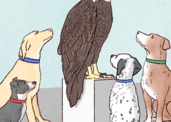 Europe Is in Danger, and It’s Doing Basically Nothing About It