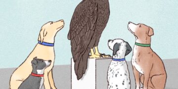 Europe Is in Danger, and It’s Doing Basically Nothing About It