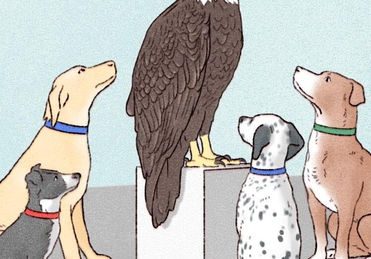 Europe Is in Danger, and It’s Doing Basically Nothing About It