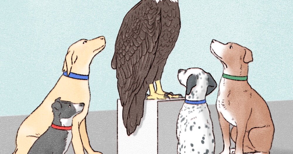 Europe Is in Danger, and It’s Doing Basically Nothing About It