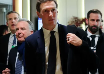 Ethics lawyer yells on MS NOW as Jared Kushner enters ‘World Series of corruption’