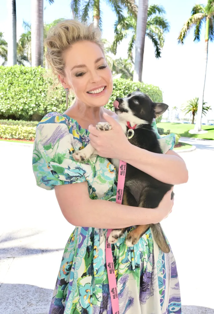 Katherine Heigl holding a puppy wearing a pink Big Dog Ranch Rescue leash.