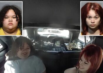 Twisted Florida teens accused of plotting school murder joked about looking good in mugshots after arrest: video