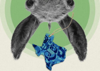 Dems aren’t sure whether to actually spend big to flip Texas