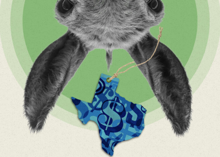 Dems aren’t sure whether to actually spend big to flip Texas