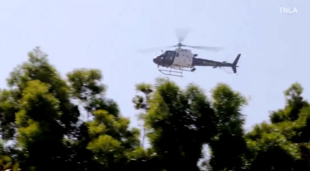 LAPD helicopter flying over trees.