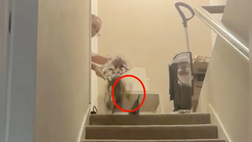 Marisa Simonetti dropping a tarantula down a flight of stairs.