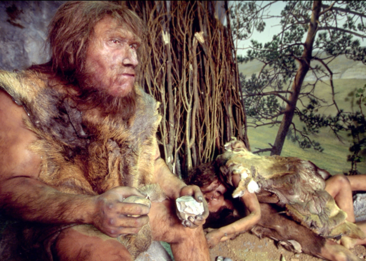Neanderthal Men Were Banging Human Women for Hundreds of Thousands of Years