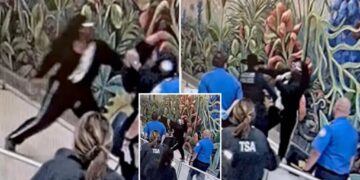 California traveler accused of attacking TSA officers, seriously injuring Dallas cop at airport