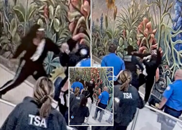 California traveler accused of attacking TSA officers, seriously injuring Dallas cop at airport