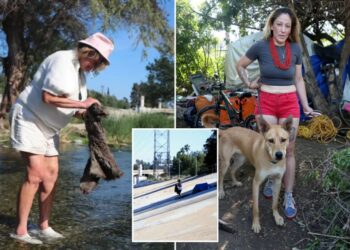 LA’s homeless crisis hits shocking new low — here’s what The Post found in the drain