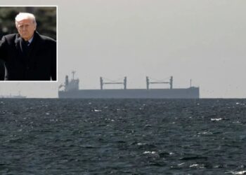 Iran says Strait of Hormuz open to all but ‘enemy-linked’ ships amid US threat