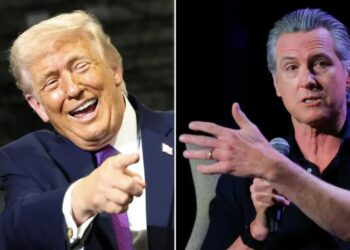 Gavin Newsom ripped by Trump as unfit for White House due to ‘mental problems’