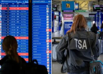 Flight passengers are warned things could get worse amid DHS shutdown, delays and callouts