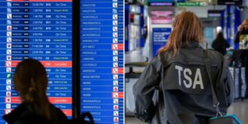 Flight passengers are warned things could get worse amid DHS shutdown, delays and callouts